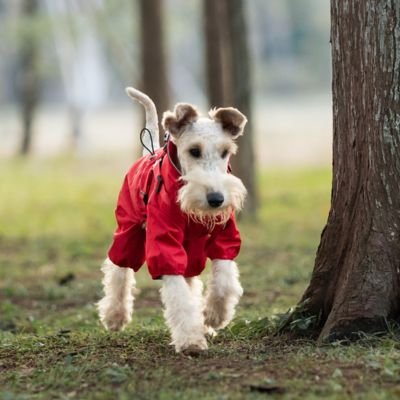 Imperméable pour chien confortable
