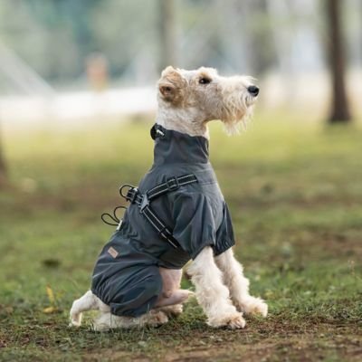 Imperméable pour chien polyvalent