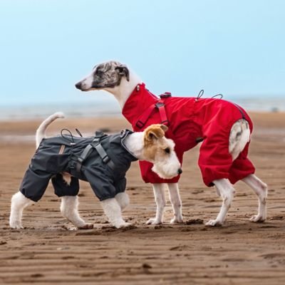 Imperméable pour chien pratique