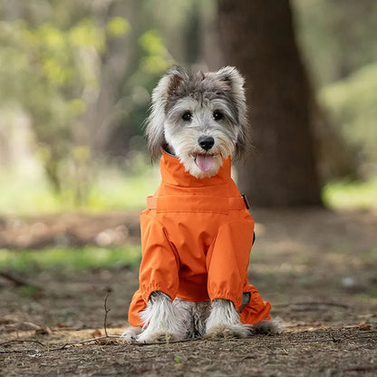 Imperméable pour chien protection