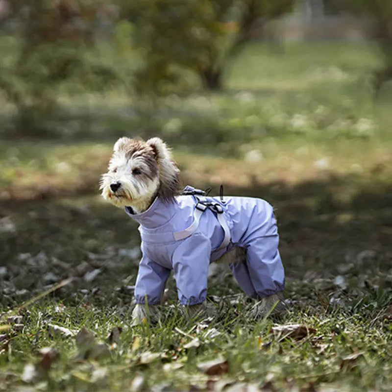 Imperméable pour chien violette clair