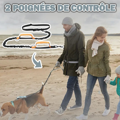 Laisse mains libres avec poignées