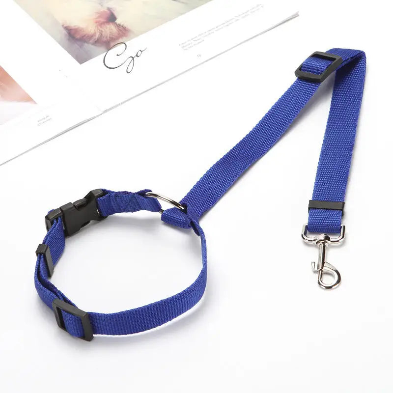 ceinture de sécurité chien bleu