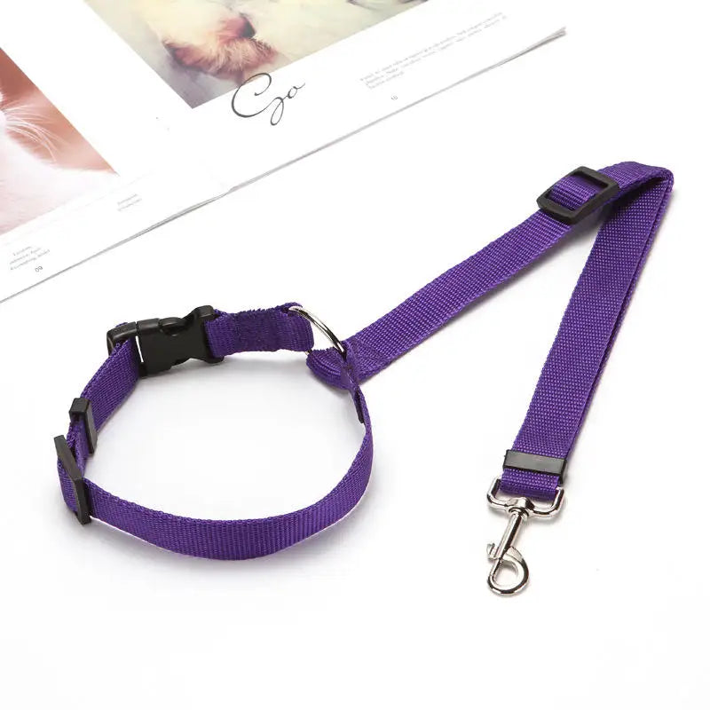 ceinture de sécurité chien violette