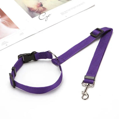 ceinture de sécurité chien violette