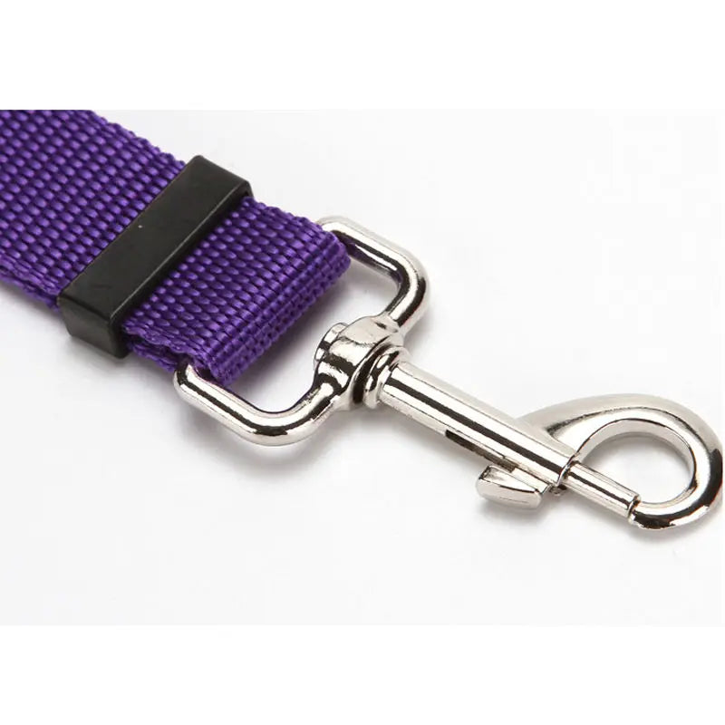 ceinture de sécurité chien