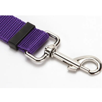 ceinture de sécurité chien
