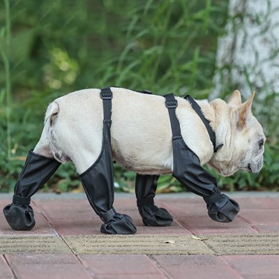 Chaussures chien antidérapantes et solides