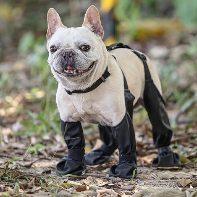 Chaussures chien avec fixation réglable