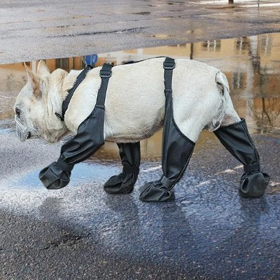 Chaussures chien contre l'humidité et boue