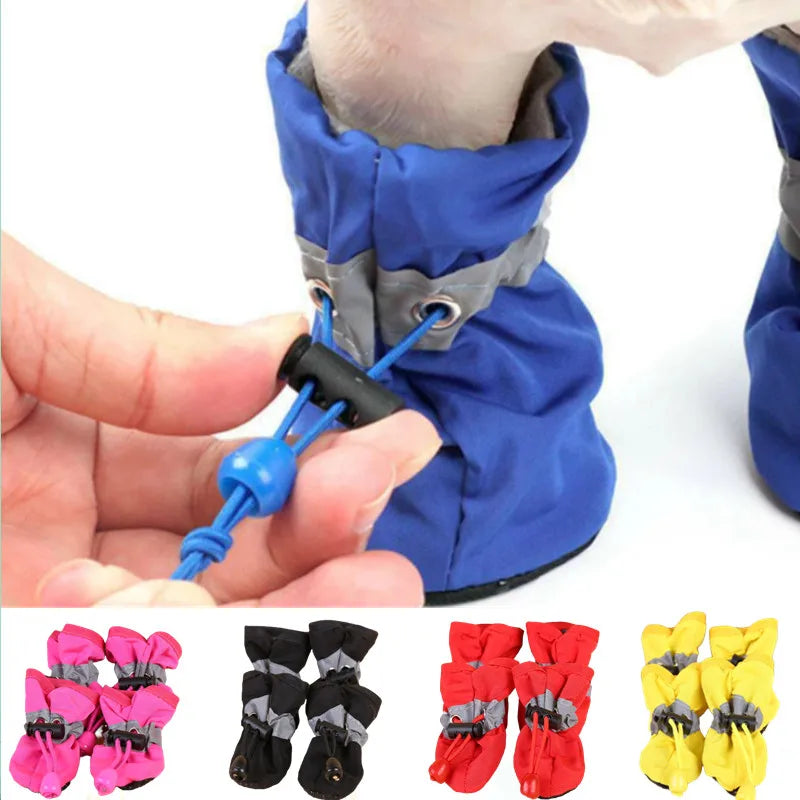 chaussures chien