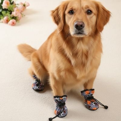 Chaussures pour Chien plusieurs tailles