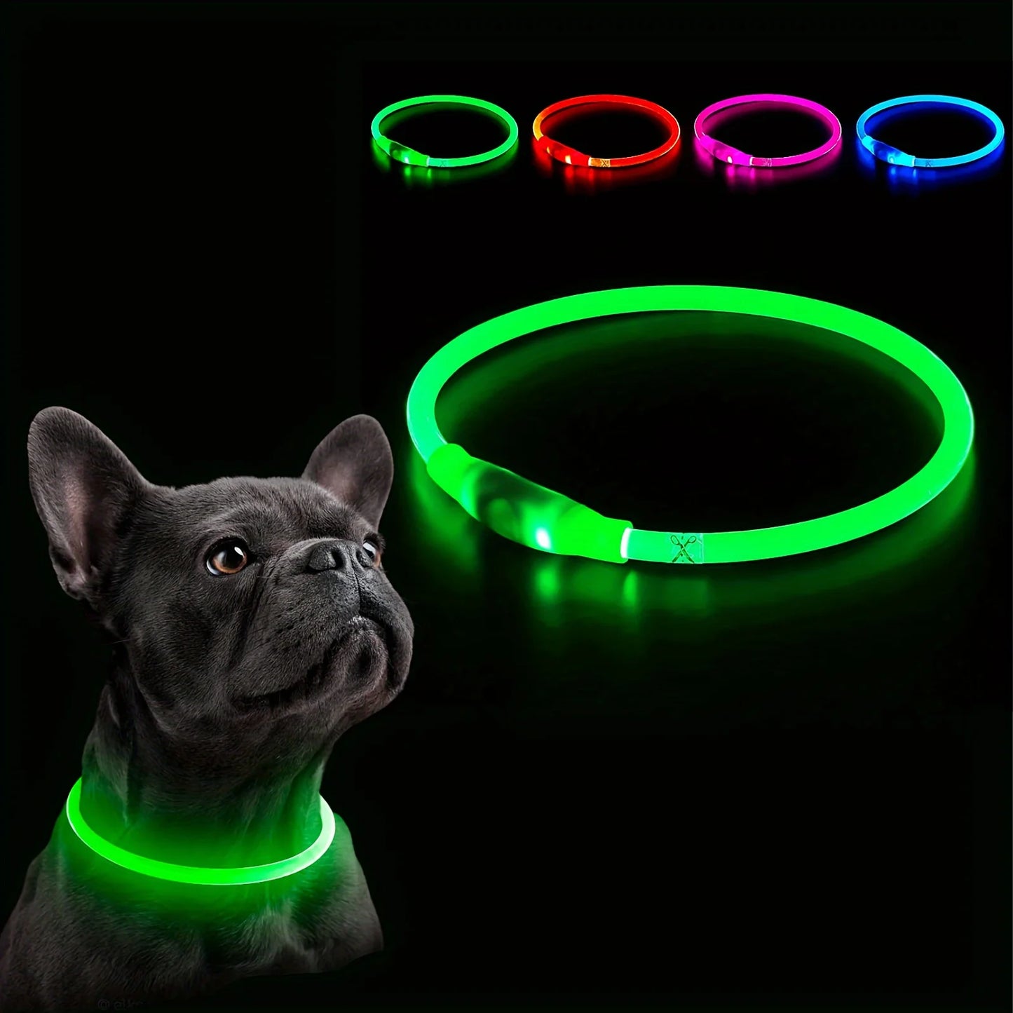 collier lumineux chien 4 coloris