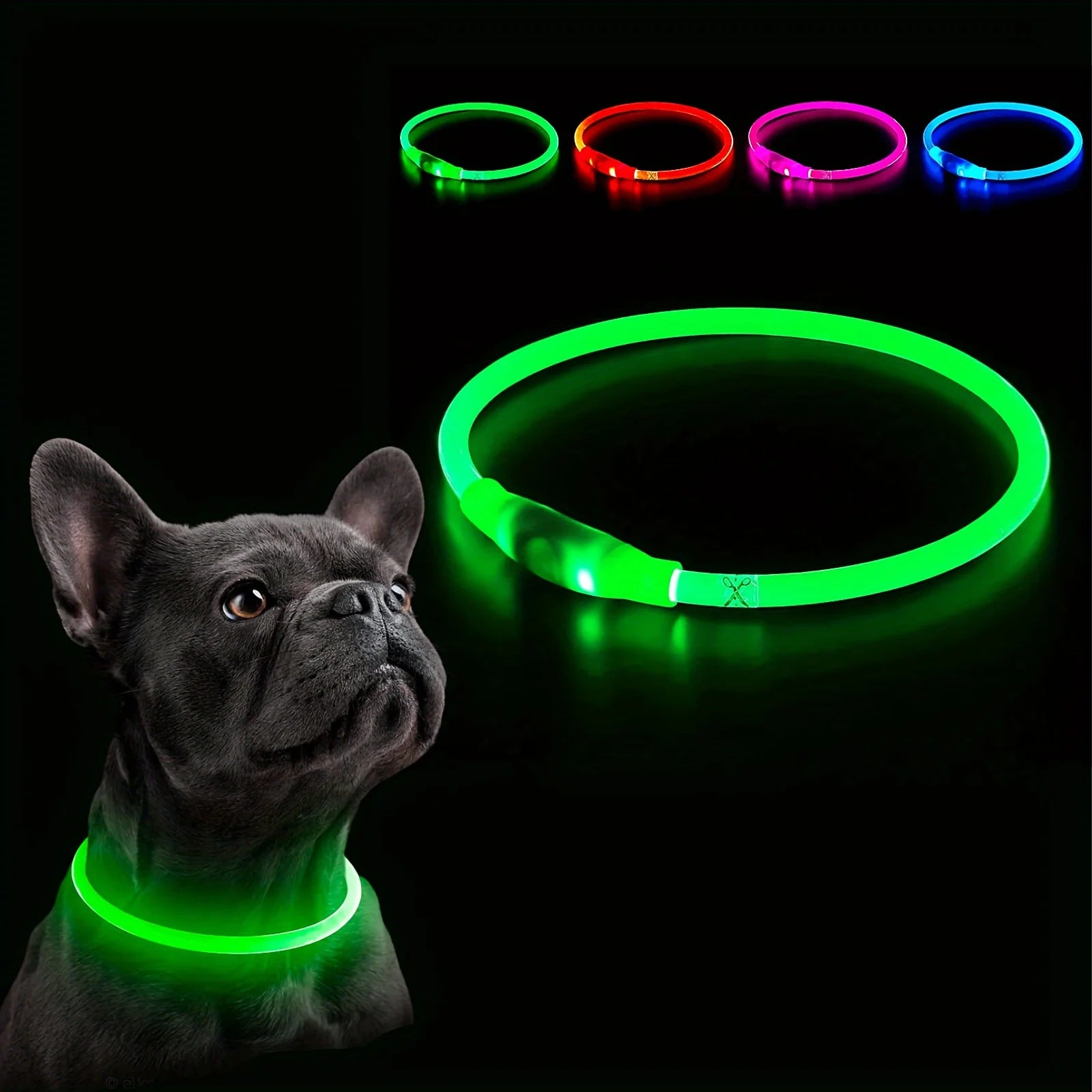 collier lumineux chien 4 coloris