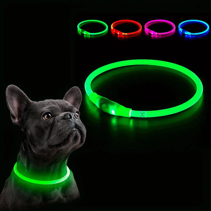 collier lumineux chien 4 coloris