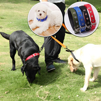 Collier pour chien 4 couleurs différentes