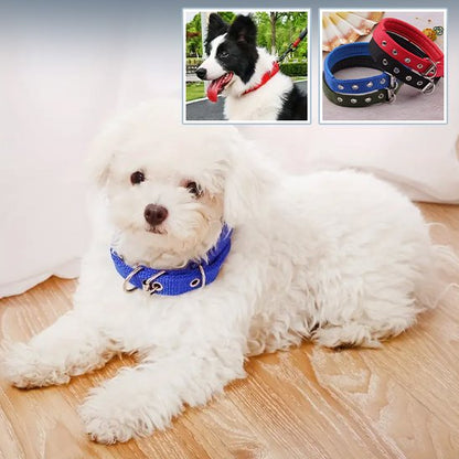 Collier pour chien polyvalent et robuste