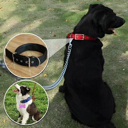 Collier pour chien pour tous les jours