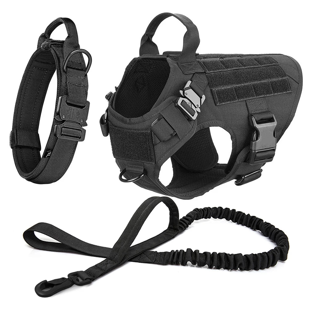 equipement harnais pour chien