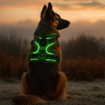 Harnais chien avec 4 sangles ajustables