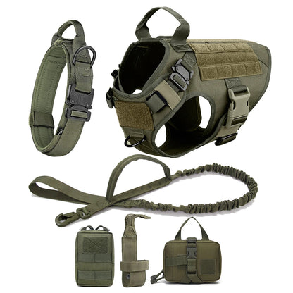 harnais pour chien ensemble complet