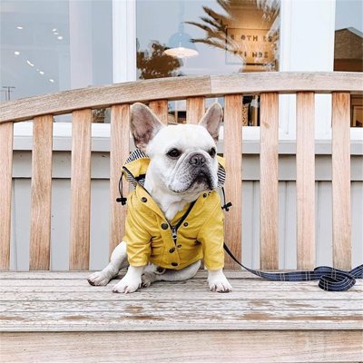 Imperméable pour chien​ confortable