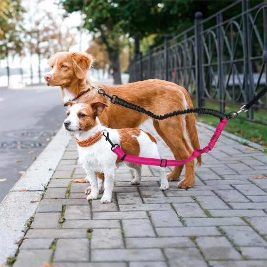 Laisse double pour chien reflechissante