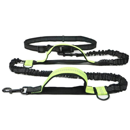 Laisse chien main libre | FreeLeash™