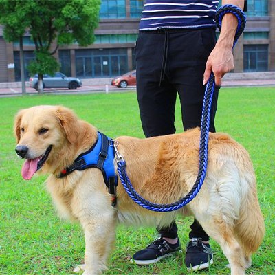 Laisse pour Chien avec 5 couleurs disponibles