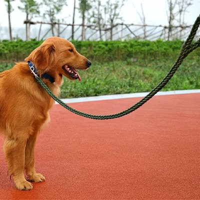 Laisse pour Chien avec mousqueton renforcé
