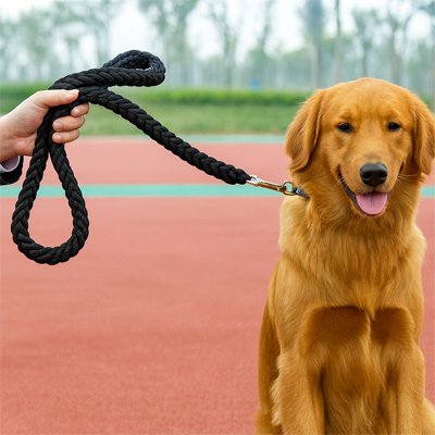 Laisse pour Chien avec poignée confortable