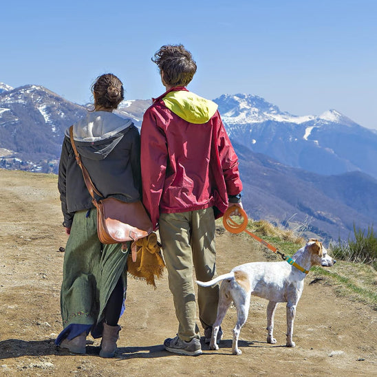 laisse pour chien polyvalente