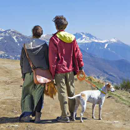 laisse pour chien polyvalente