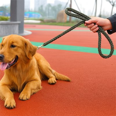 Laisse pour Chien solide pour grand chien