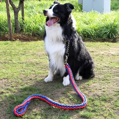 Laisse pour Chien tressé en nylon