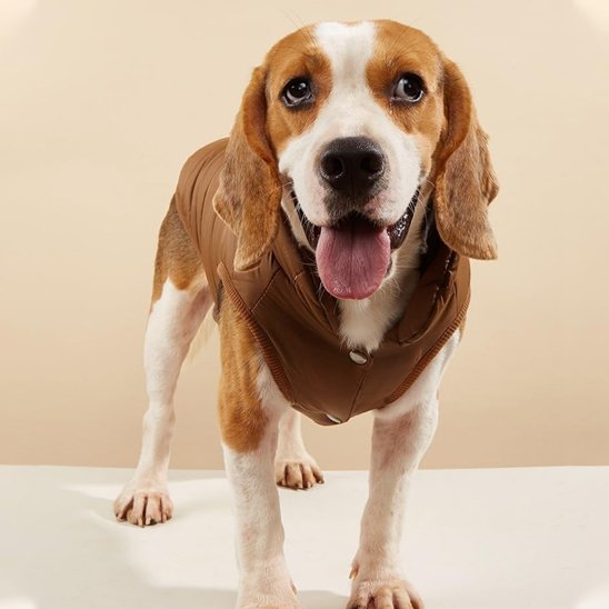 manteau pour chien ajustable