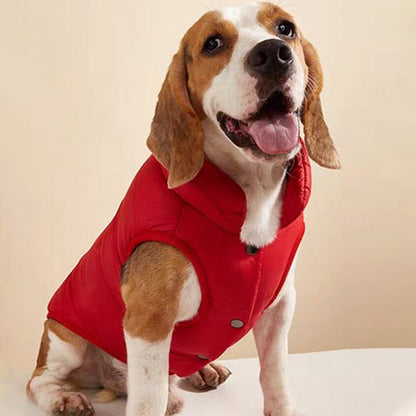 manteau pour chien imperméable
