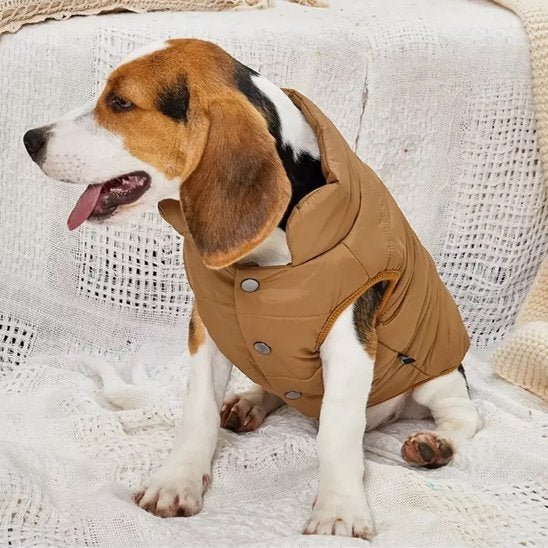 manteau pour chien marron