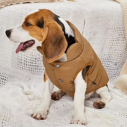 manteau pour chien marron
