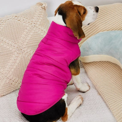 manteau pour chien pour le froid