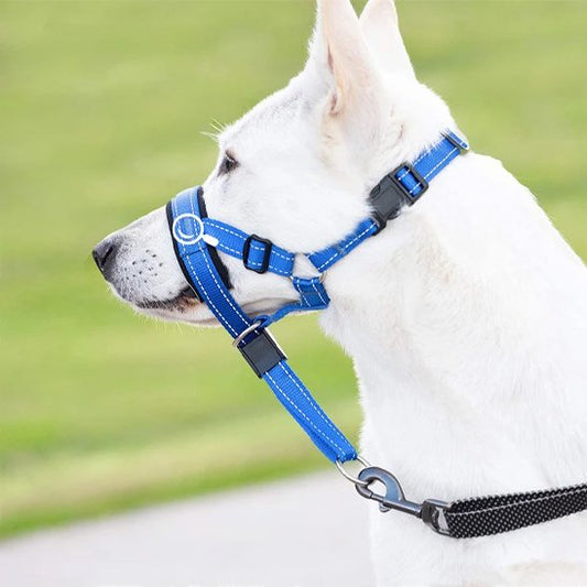 muselière chien