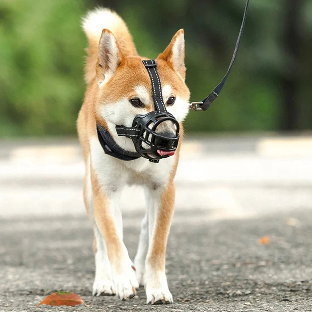 museliere pour chien confortable