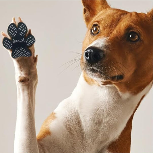 protege coussinets antiderapant