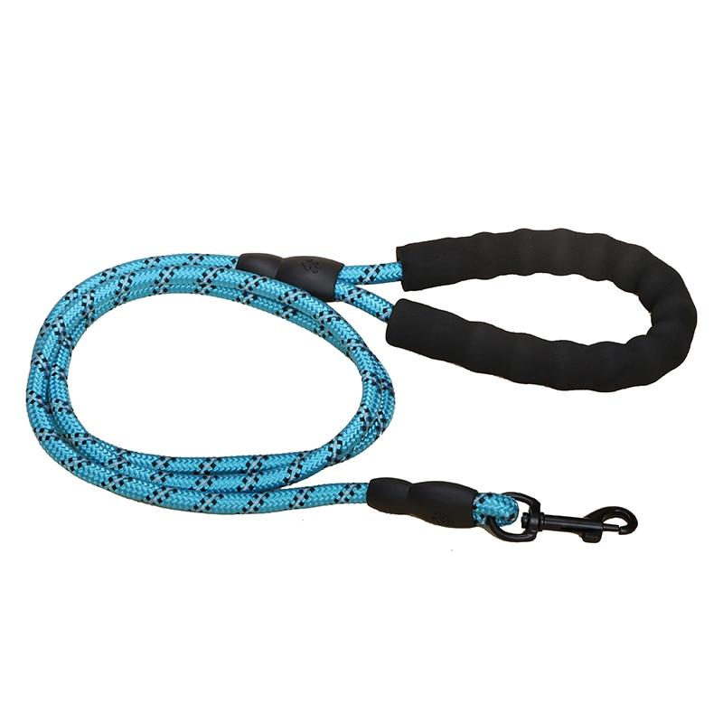 Laisse pour chien bleu