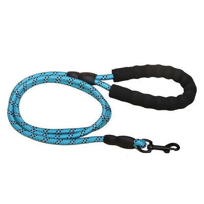 Laisse pour chien bleu