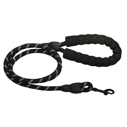 Laisse pour chien noir