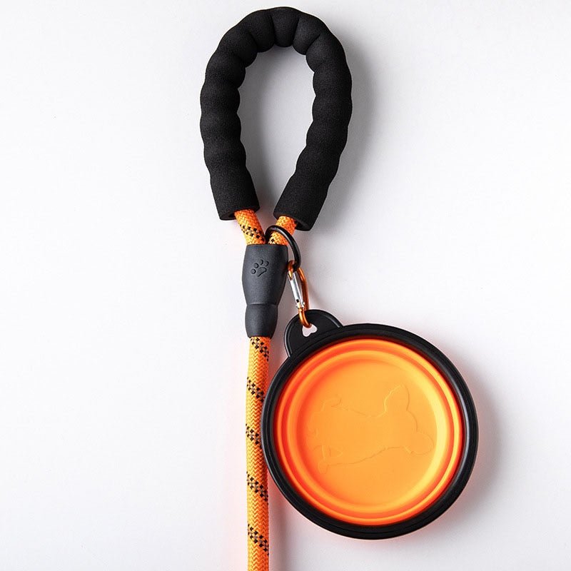 Laisse pour chien pratique
