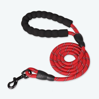 Laisse pour chien rouge