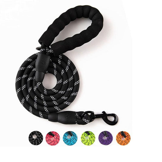 Laisse pour chien
